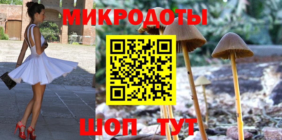 Галлюциногенные грибы Psilocybe  Галлюциногенные грибы Psilocybe  Обь  Вход с VPN 